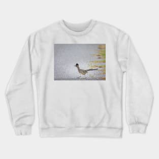 Roadrunner Running the Road by Debra Martz Crewneck Sweatshirt